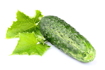 Cucumber with leaves isolated.