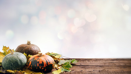 Colorful autumn pumpkins