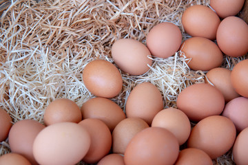 Pile of organic fresh and raw hen chicken eggs for sale in the tray market agriculture farm.High protein nutrition for healthy.Food,Business,Easter Concept.