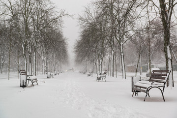 Park with benches during snowfall
