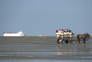 Wattwagen zwischen Neuwerk und Cuxhaven im Wattenmeer