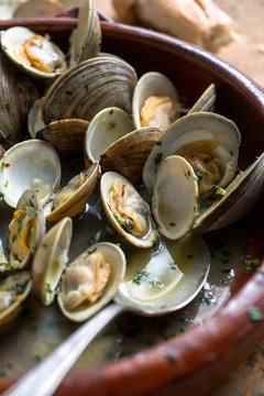 Close up of steamed clams with spring herbs in bowl
