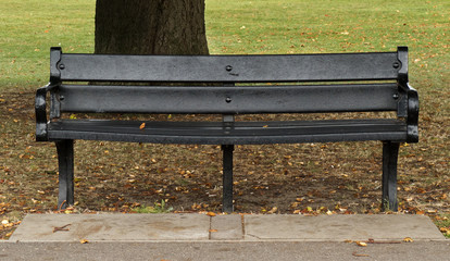 Black Park Bench in front of Tree