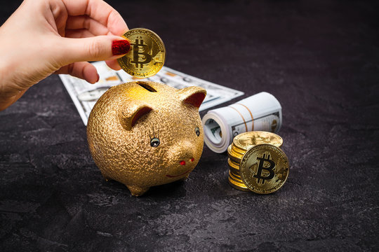 Bitcoins, currency and piggie bank