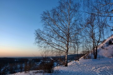 winter landscape with trees and blue sky at sunset.