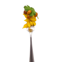 A fork with pasta on it. Seashells form. A honey agaric