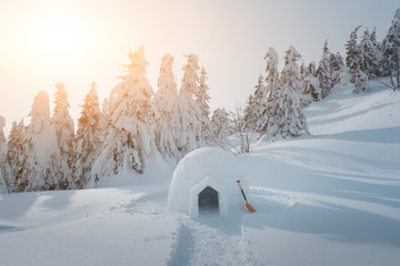 Real snow igloo house in the winter Carpathian mountains. Snow-covered firs on the background