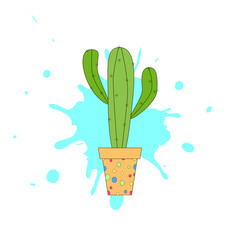 The beautiful cactus on the white. Idea for poster, postcard. Vector illustration.