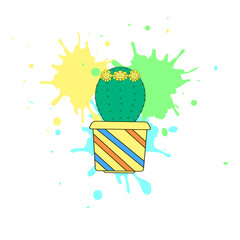 The nice cactus with flower on the white background . Vector illustration.