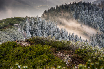 Jesień w Tatrach Zachodnich ,widok z Grzesia. 