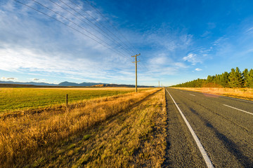 Fototapeta na wymiar Golden fields of hay at sunset along the road on a highway, South island, New Zealand