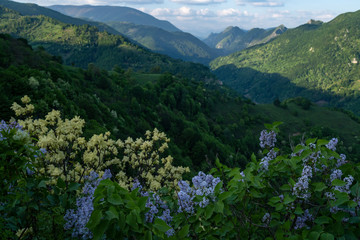 Fototapeta na wymiar views of mehedinti mountain range from cernei mountain range, romania