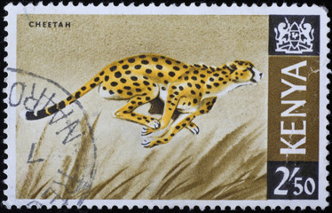 Running cheetah on kenyan postage stamp