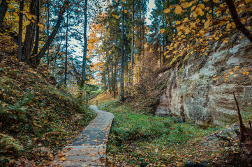 Obraz premium Hinni canyon is a unique canyon valley in Estonia, located in a specially managed zone of Haanja Nature Park. Landscape view with pathway. Autumn.