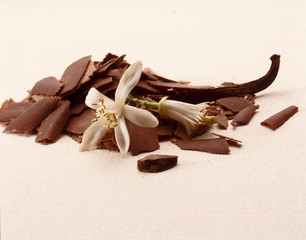 isolated Vanila Vanilla Bean and Flower isolated with clipping path