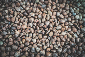 Cannabis seeds background. Marijuana grains, herbal treatment product macro view.