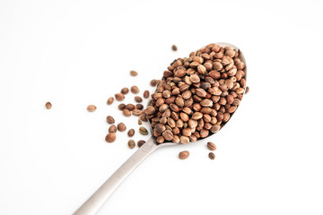 Cannabis seeds in a metal spoon, isolated on white background. Marijuana grains pile, herbal treatment product, healthy eating, macro view.