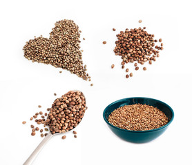 Cannabis seeds in pile, isolated on white background. Marijuana grains in a spoon, herbal treatment, seeds in a bowl.