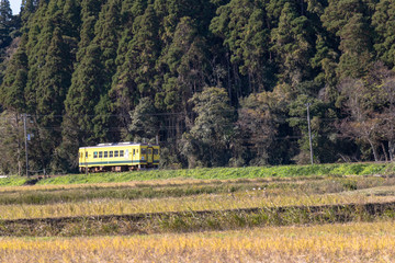 Fototapeta premium Local railway running Ohara in Isuimi-city, Chiba, Japan