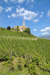 Fototapeta na wymiar Kirche in den Weinbergen von Kurtatsch an der Weinstrasse,Trentino,Südtirol