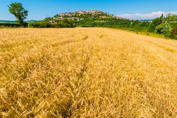 Cordes-sur-Ciel, Southern France.