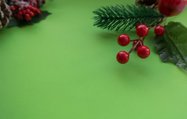  cones, leaves and red berries on a juicy green background