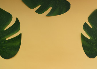 Fototapeta na wymiar Big green leaves on a yellow background