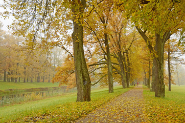 Naklejka premium Autumn landscape in the Park.