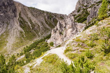 Besteigung des Piz Daint vom Ofenpass, vorbei am Il Jalet über den Westgrad auf den Gipfel (2968m) und zurück.