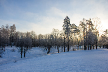 Winter landscape in clear weather. Frosty daylight at sunset