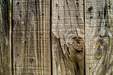 T&aacute;buas Madeira