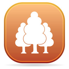 Deciduous forest icon