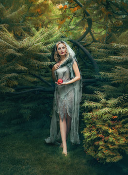 mysterious evil witch with blond curly hair comes out of a thick forest with a red apple, in an old linen dress that looks like a ragged coat with a hood. Art photo in warm colors. halloween costume