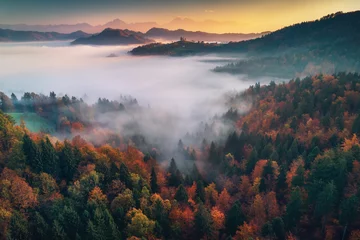 Foto auf Acrylglas Luftbild Luftdrohnenansicht der Kirche St. Tomas, Slowenien. Morgennebel im Wald.