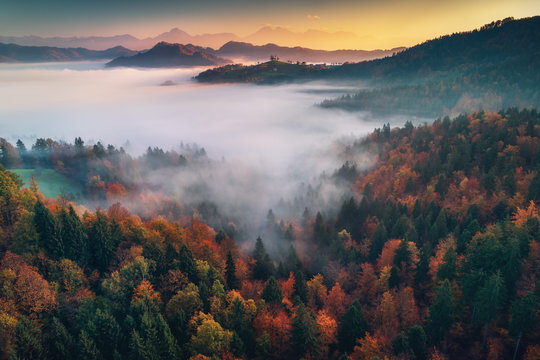 Aerial drone view of Saint Tomas church, Slovenia. Morning mist in the forest.