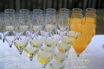 Sekt - Sektgläser - Sektempfang - Hochzeit
