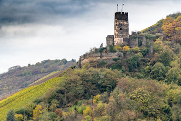 Fototapeta na wymiar castle and vineyard