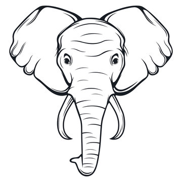 Vector beautiful elephant face tattoo sketch or template for print on  tshirts Stock Vector  Adobe Stock