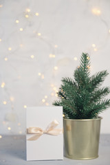 little Christmas tree and gifts on light background