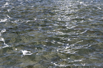 3D Illustration of a Water Surface