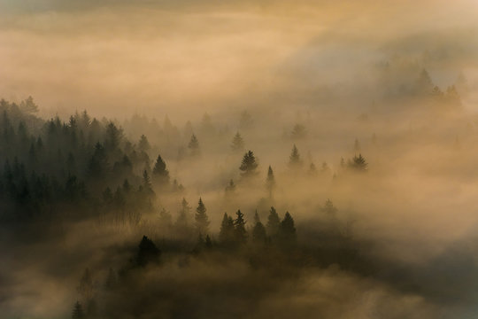 Fototapeta Jesienne mgły w Beskidzie Sądeckim,małopolska.