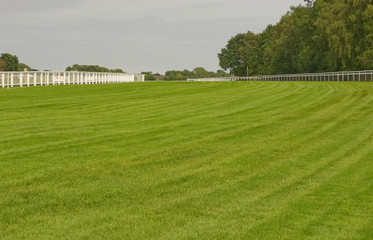Fototapeta na wymiar Racecourse at Epsom Downs, Surrey, England