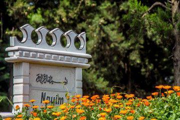 Bursa, Turkey, 29 April 2012: Tomb and flovers © Kayihan