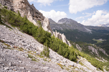 Naklejka na ściany i meble Besteigung des Piz Daint vom Ofenpass, vorbei am Il Jalet über den Westgrad auf den Gipfel (2968m) und zurück.