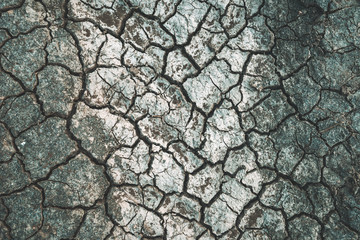 Mudcrack texture top view