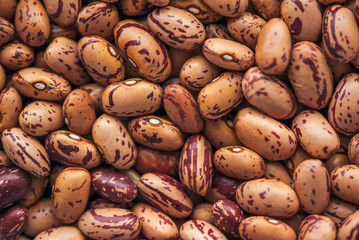 Pinto bean from above