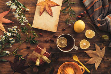 Flat lay rosehip herbal tea in a cup