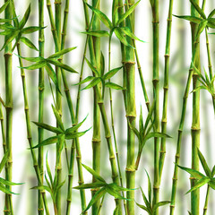 Naklejki  Bambus akwarela łodygi i liście wzór na białym tle