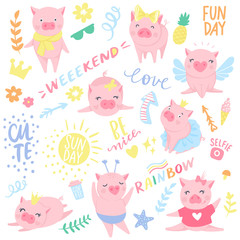 Vector seamless pattern with funny pigs. Pig background isolated on white.
