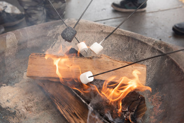fire roasting marshmallow